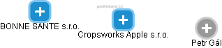 Cropsworks Apple s.r.o. - obrázek vizuálního zobrazení vztahů obchodního rejstříku