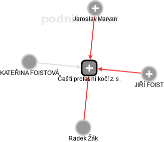 Čeští profesní kočí z. s. - obrázek vizuálního zobrazení vztahů obchodního rejstříku