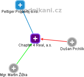 Chapter 4 Real, a.s. - obrázek vizuálního zobrazení vztahů obchodního rejstříku