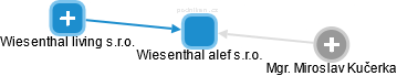 Wiesenthal alef s.r.o. - obrázek vizuálního zobrazení vztahů obchodního rejstříku