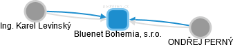 Bluenet Bohemia, s.r.o. - obrázek vizuálního zobrazení vztahů obchodního rejstříku