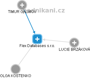 Flex Databases s.r.o. - obrázek vizuálního zobrazení vztahů obchodního rejstříku