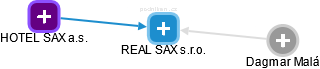 REAL SAX s.r.o. - obrázek vizuálního zobrazení vztahů obchodního rejstříku