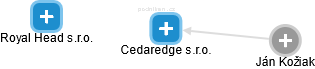 Cedaredge s.r.o. - obrázek vizuálního zobrazení vztahů obchodního rejstříku