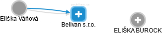 Belivan s.r.o. - obrázek vizuálního zobrazení vztahů obchodního rejstříku