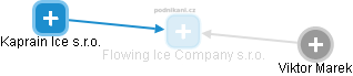 Flowing Ice Company s.r.o. - obrázek vizuálního zobrazení vztahů obchodního rejstříku