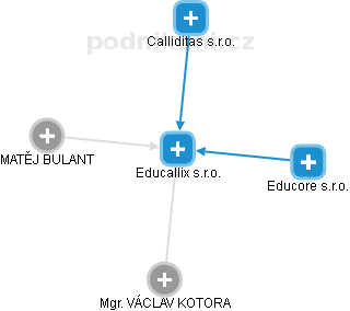 Educallix s.r.o. - obrázek vizuálního zobrazení vztahů obchodního rejstříku