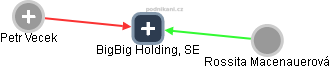 BigBig Holding, SE - obrázek vizuálního zobrazení vztahů obchodního rejstříku