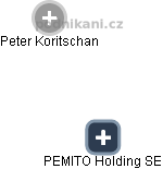 PEMITO Holding SE - obrázek vizuálního zobrazení vztahů obchodního rejstříku