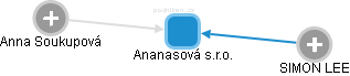 Ananasová s.r.o. - obrázek vizuálního zobrazení vztahů obchodního rejstříku