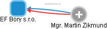 EF Bory s.r.o. - obrázek vizuálního zobrazení vztahů obchodního rejstříku