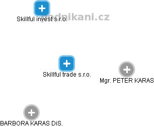 Skillful trade s.r.o. - obrázek vizuálního zobrazení vztahů obchodního rejstříku