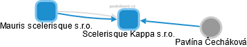 Scelerisque Kappa s.r.o. - obrázek vizuálního zobrazení vztahů obchodního rejstříku
