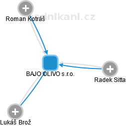 BAJO OLIVO s.r.o. - obrázek vizuálního zobrazení vztahů obchodního rejstříku