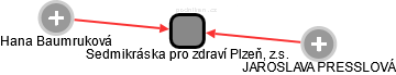 Sedmikráska pro zdraví Plzeň, z.s. - obrázek vizuálního zobrazení vztahů obchodního rejstříku