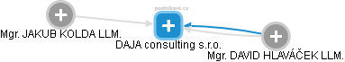 DAJA consulting s.r.o. - obrázek vizuálního zobrazení vztahů obchodního rejstříku