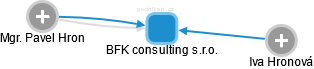 BFK consulting s.r.o. - obrázek vizuálního zobrazení vztahů obchodního rejstříku