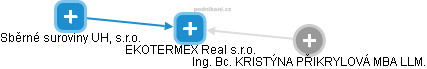 EKOTERMEX Real s.r.o. - obrázek vizuálního zobrazení vztahů obchodního rejstříku