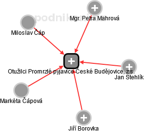 Otužilci Promrzlé pyjavice České Budějovice, z.s. - obrázek vizuálního zobrazení vztahů obchodního rejstříku