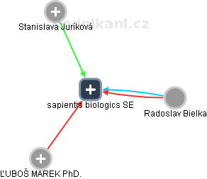 sapientis biologics SE - obrázek vizuálního zobrazení vztahů obchodního rejstříku