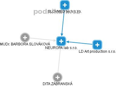 NEUROPA lab s.r.o. - obrázek vizuálního zobrazení vztahů obchodního rejstříku