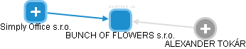 BUNCH OF FLOWERS s.r.o. - obrázek vizuálního zobrazení vztahů obchodního rejstříku