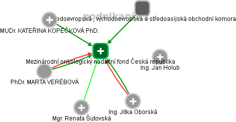 Mezinárodní onkologický nadační fond Česká republika - obrázek vizuálního zobrazení vztahů obchodního rejstříku