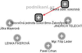 Tělocvičná jednota Sokol Brno-Žabovřesky - obrázek vizuálního zobrazení vztahů obchodního rejstříku