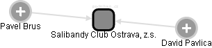 Salibandy Club Ostrava, z.s. - obrázek vizuálního zobrazení vztahů obchodního rejstříku