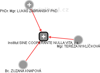 Institut SINE COOPERANTE NULLA VITA, z.s. - obrázek vizuálního zobrazení vztahů obchodního rejstříku