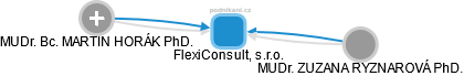 FlexiConsult, s.r.o. - obrázek vizuálního zobrazení vztahů obchodního rejstříku