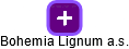 Bohemia Lignum a.s. - obrázek vizuálního zobrazení vztahů obchodního rejstříku
