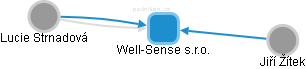 Well-Sense s.r.o. - obrázek vizuálního zobrazení vztahů obchodního rejstříku