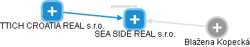 SEA SIDE REAL s.r.o. - obrázek vizuálního zobrazení vztahů obchodního rejstříku