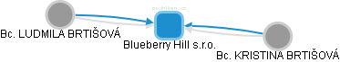 Blueberry Hill s.r.o. - obrázek vizuálního zobrazení vztahů obchodního rejstříku