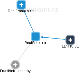 RealSeb s.r.o. - obrázek vizuálního zobrazení vztahů obchodního rejstříku