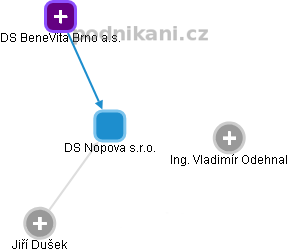 DS Nopova s.r.o. - obrázek vizuálního zobrazení vztahů obchodního rejstříku