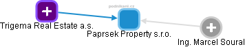 Paprsek Property s.r.o. - obrázek vizuálního zobrazení vztahů obchodního rejstříku