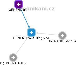 GENEMO consulting s.r.o. - obrázek vizuálního zobrazení vztahů obchodního rejstříku