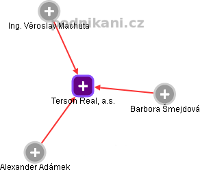 Terson Real, a.s. - obrázek vizuálního zobrazení vztahů obchodního rejstříku