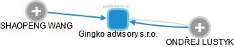 Gingko advisory s.r.o. - obrázek vizuálního zobrazení vztahů obchodního rejstříku
