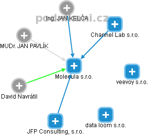 Molecula s.r.o. - obrázek vizuálního zobrazení vztahů obchodního rejstříku