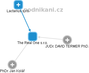 The Real One s.r.o. - obrázek vizuálního zobrazení vztahů obchodního rejstříku