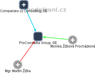 ProConsultia Group, SE - obrázek vizuálního zobrazení vztahů obchodního rejstříku