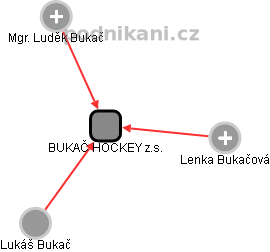 BUKAČ HOCKEY z.s. - obrázek vizuálního zobrazení vztahů obchodního rejstříku