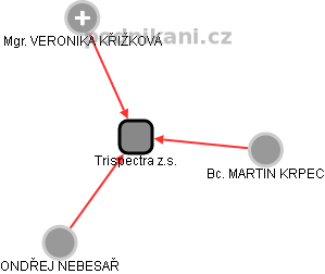 Trispectra z.s. - obrázek vizuálního zobrazení vztahů obchodního rejstříku