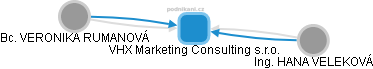 VHX Marketing Consulting s.r.o. - obrázek vizuálního zobrazení vztahů obchodního rejstříku