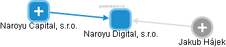Naroyu Digital, s.r.o. - obrázek vizuálního zobrazení vztahů obchodního rejstříku
