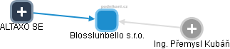 Blosslunbello s.r.o. - obrázek vizuálního zobrazení vztahů obchodního rejstříku