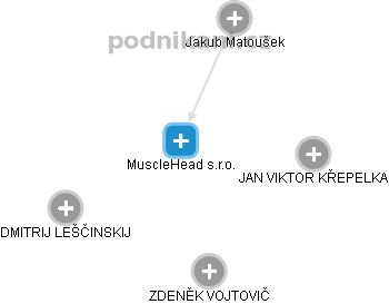 MuscleHead s.r.o. - obrázek vizuálního zobrazení vztahů obchodního rejstříku